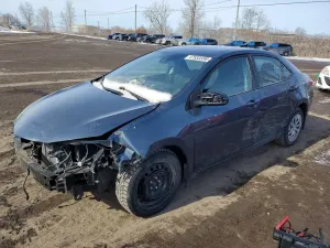 Toyota Corolla 1.8L 4 2019