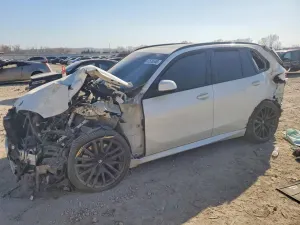 BMW X5 4.4L 8 2020