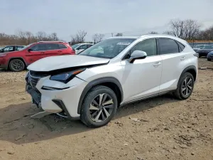 Lexus NX 2.0L 4 2019