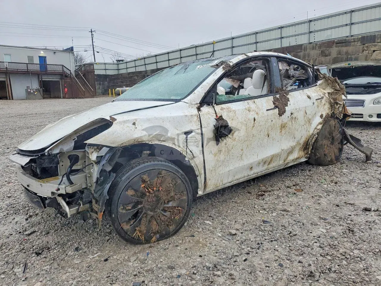 Tesla Model Y 2023
