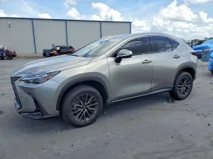 Lexus NX 2.5L 4 2024