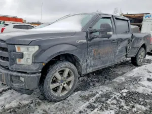 Ford F-150 5.0L 8 2015