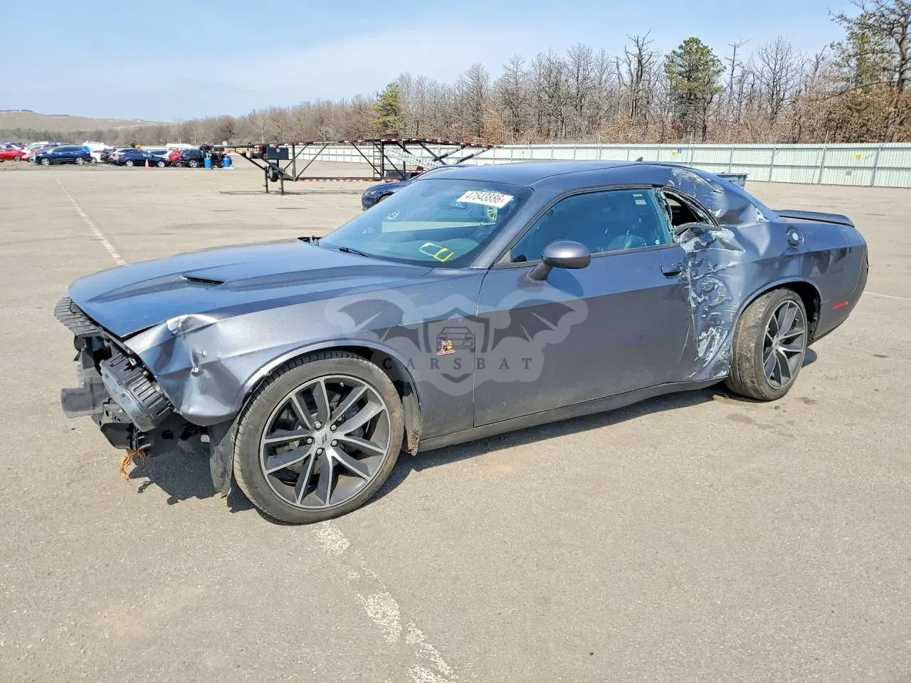 Dodge Challenger 6.4L 8 2018