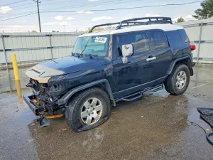 Toyota FJ Cruiser 4.0L 6 2007