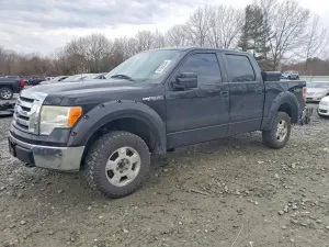 Ford F-150 4.6L 8 2009