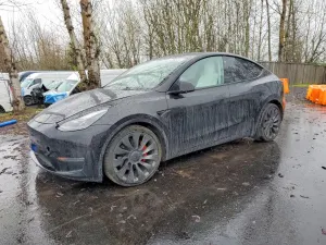 Tesla Model Y 2021