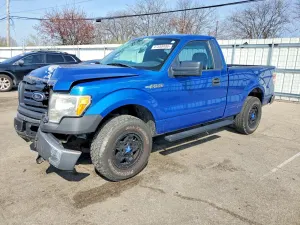 Ford F-150 4.6L 8 2009