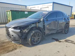 Lexus NX 2.4L 4 2024