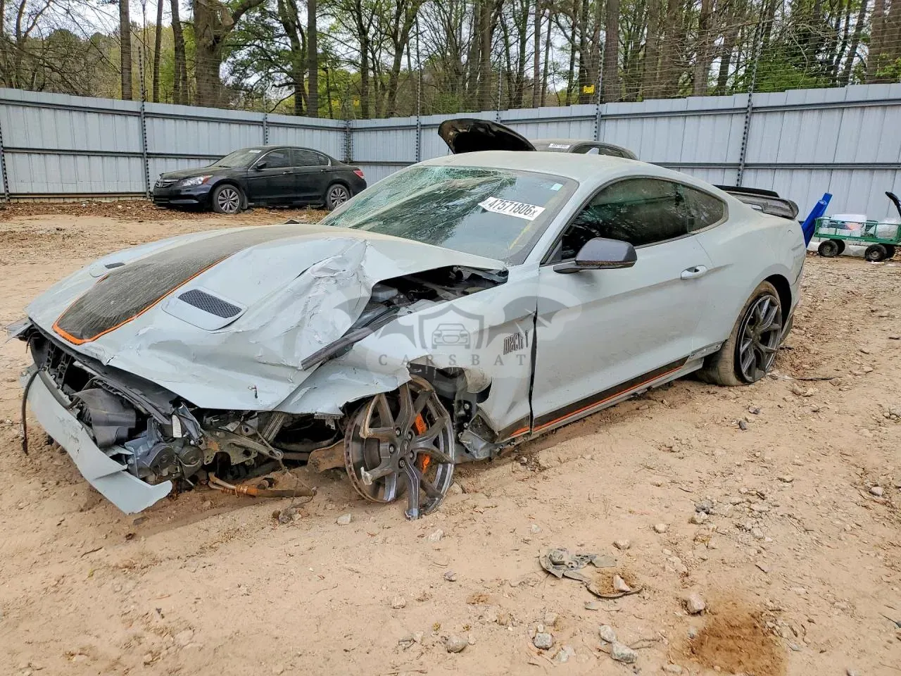 Ford Mustang 5.0L 8 2021