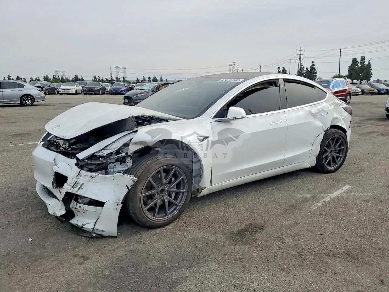 Tesla Model 3 2020