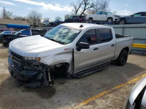 Chevrolet Silverado 1500 5.3L 8 2019