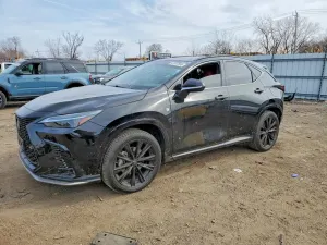 Lexus NX 2.4L 4 2024