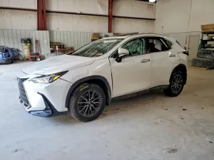 Lexus NX 2.4L 4 2025