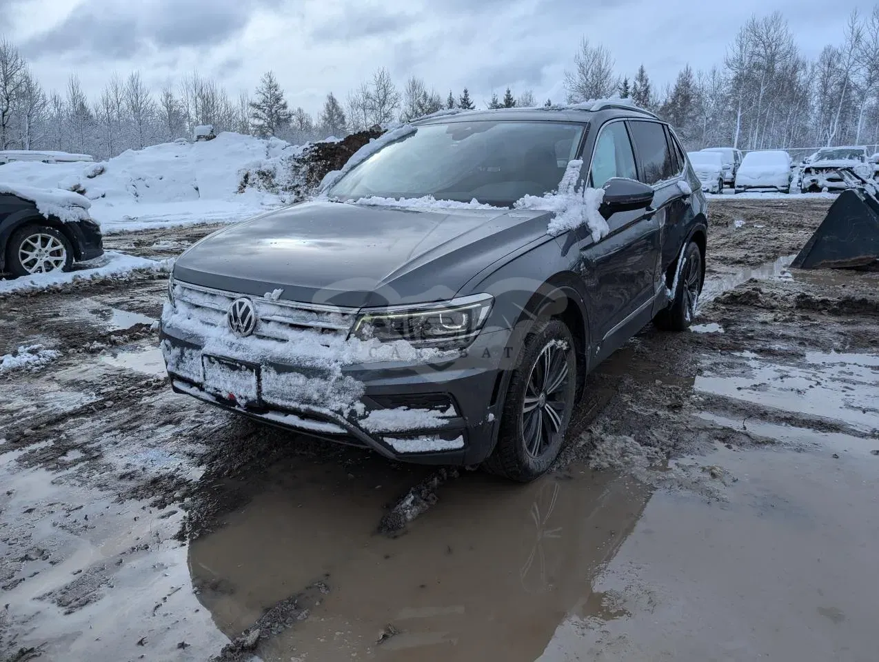 Volkswagen Tiguan 2.0L 4 2020