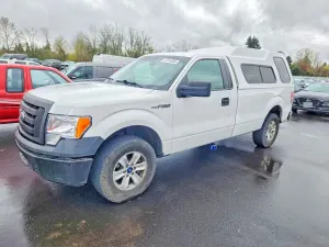 Ford F-150 4.6L 8 2010