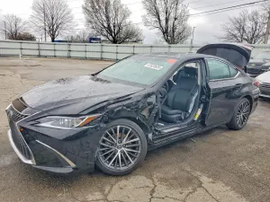 Lexus ES 3.5L 6 2024