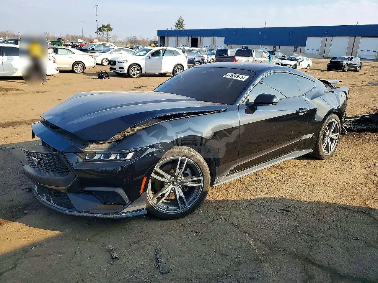 Ford Mustang 2.3L 4 2024