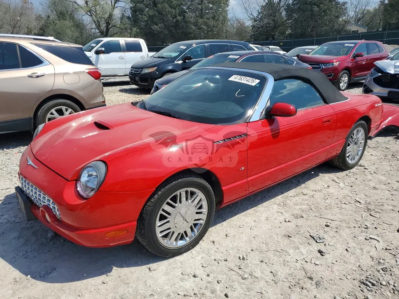 Ford Thunderbird 3.9L 8 2002