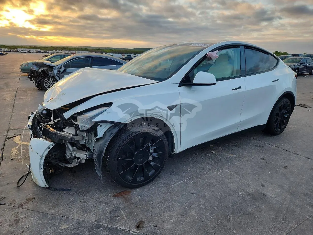 Tesla Model Y 2024