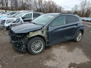 Hyundai Kona 2.0L 4 2018