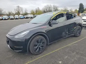 Tesla Model Y 2025