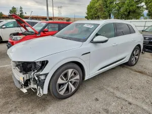 Audi Q8 e-tron 2024