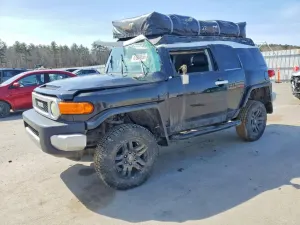 Toyota FJ Cruiser 4.0L 6 2007