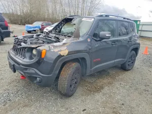 Jeep Renegade 2.4L 4 2018