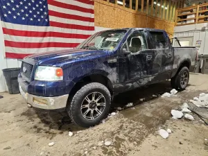Ford F-150 4.6L 8 2004