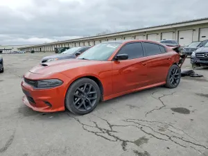 Dodge Charger 5.7L 8 2020