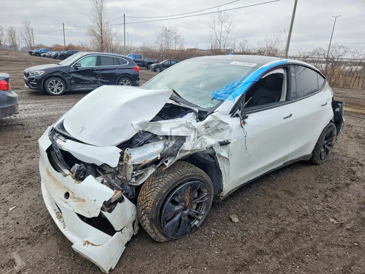 Tesla Model Y 2024