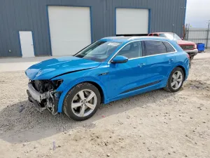 Audi E-Tron 2019