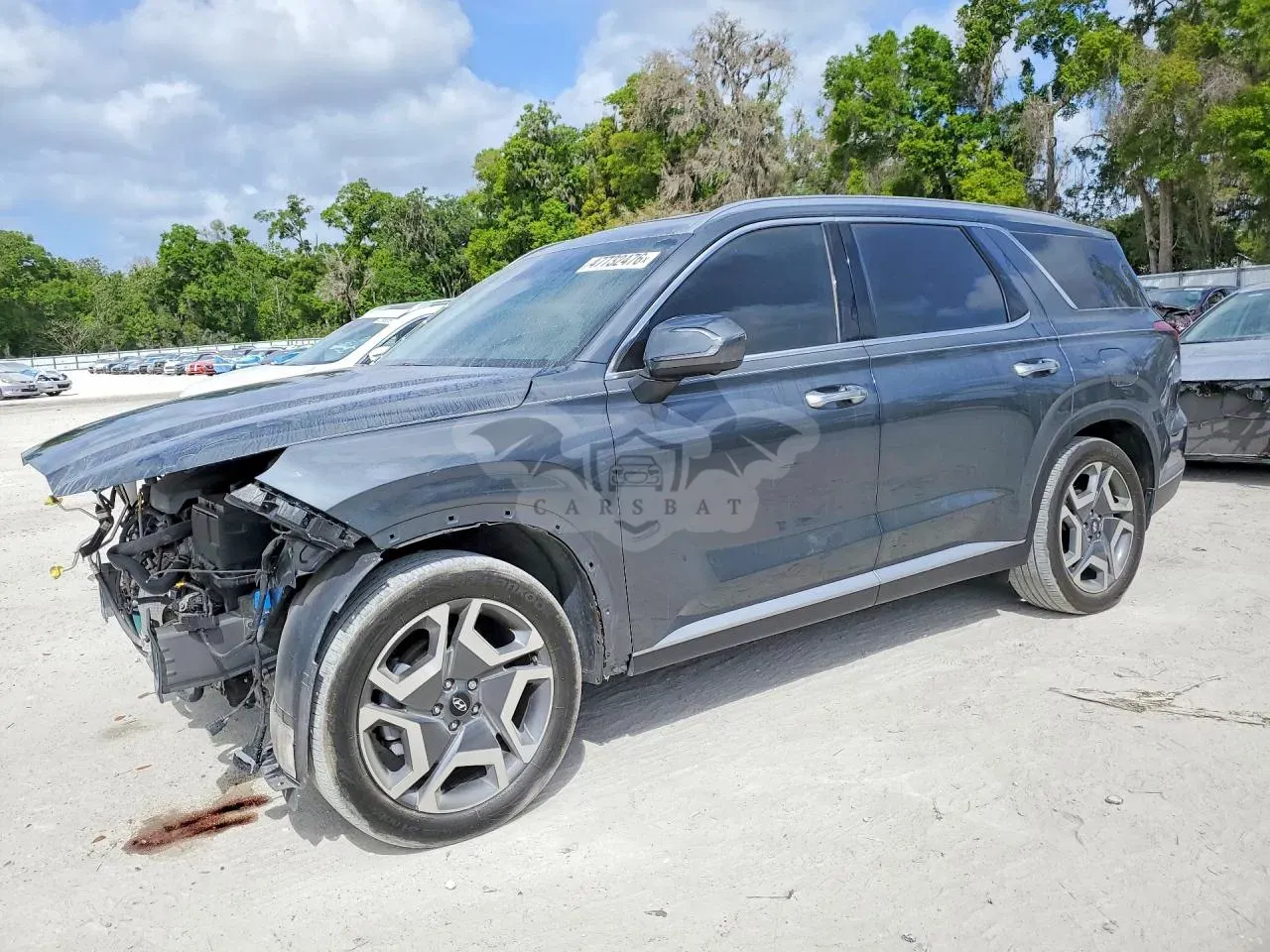 Hyundai Palisade 3.8L 6 2025