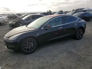 Tesla Model 3 2019