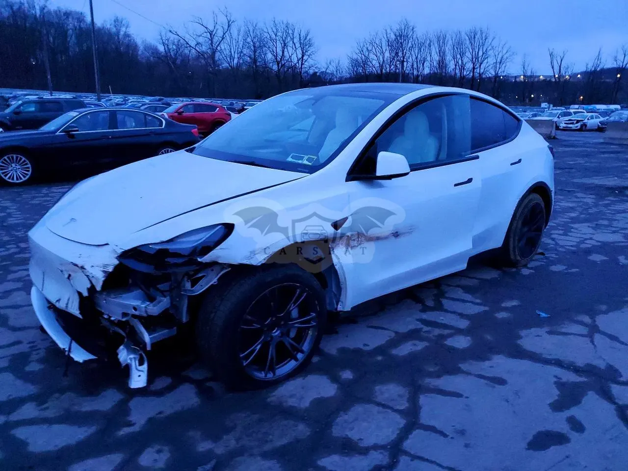 Tesla Model Y 2025