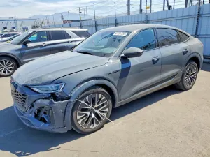 Audi Q8 e-tron 2024