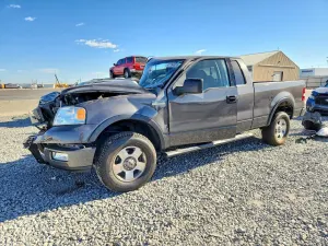 Ford F-150 5.4L 8 2004