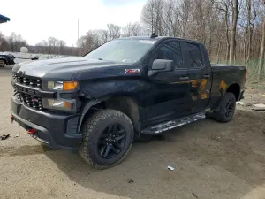 Chevrolet Silverado 1500 5.3L 8 2019