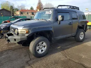 Toyota FJ Cruiser 4.0L 6 2007
