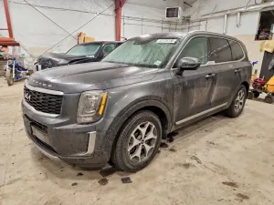 Kia Telluride 3.8L 6 2022