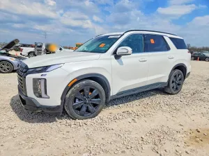 Hyundai Palisade 3.8L 6 2024