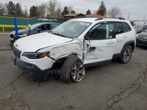 Jeep Cherokee 2.0L 4 2019