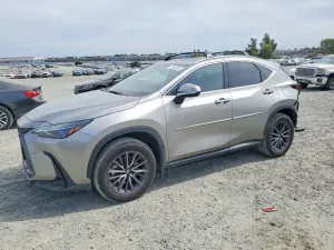 Lexus NX 2.4L 4 2024