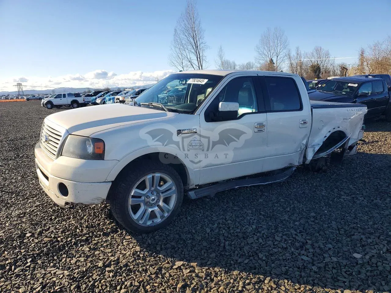 Ford F-150 5.4L 8 2008