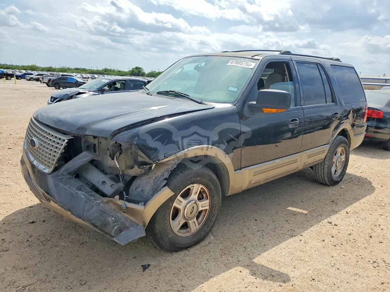 Ford Expedition 4.6L 8 2003