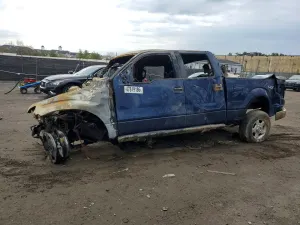 Ford F-150 4.6L 8 2010