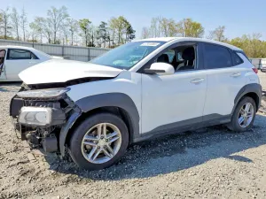 Hyundai Kona 2.0L 4 2019