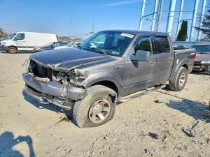 Ford F-150 5.4L 8 2004