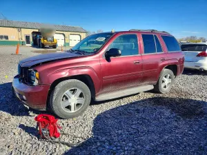 Chevrolet Trailblazer 4.2L 6 2007