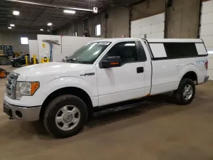 Ford F-150 4.6L 8 2010